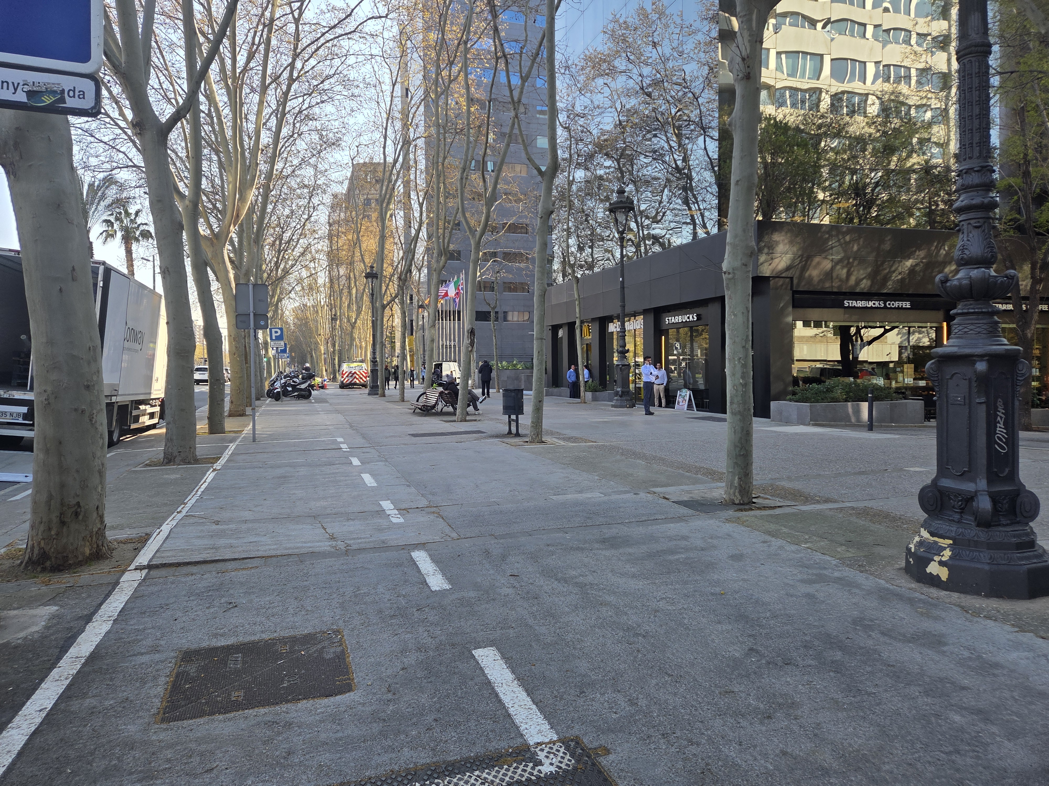 Tree-lined city street
